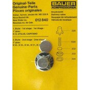 Discharge Valve Kit | OEM Bauer Compressors